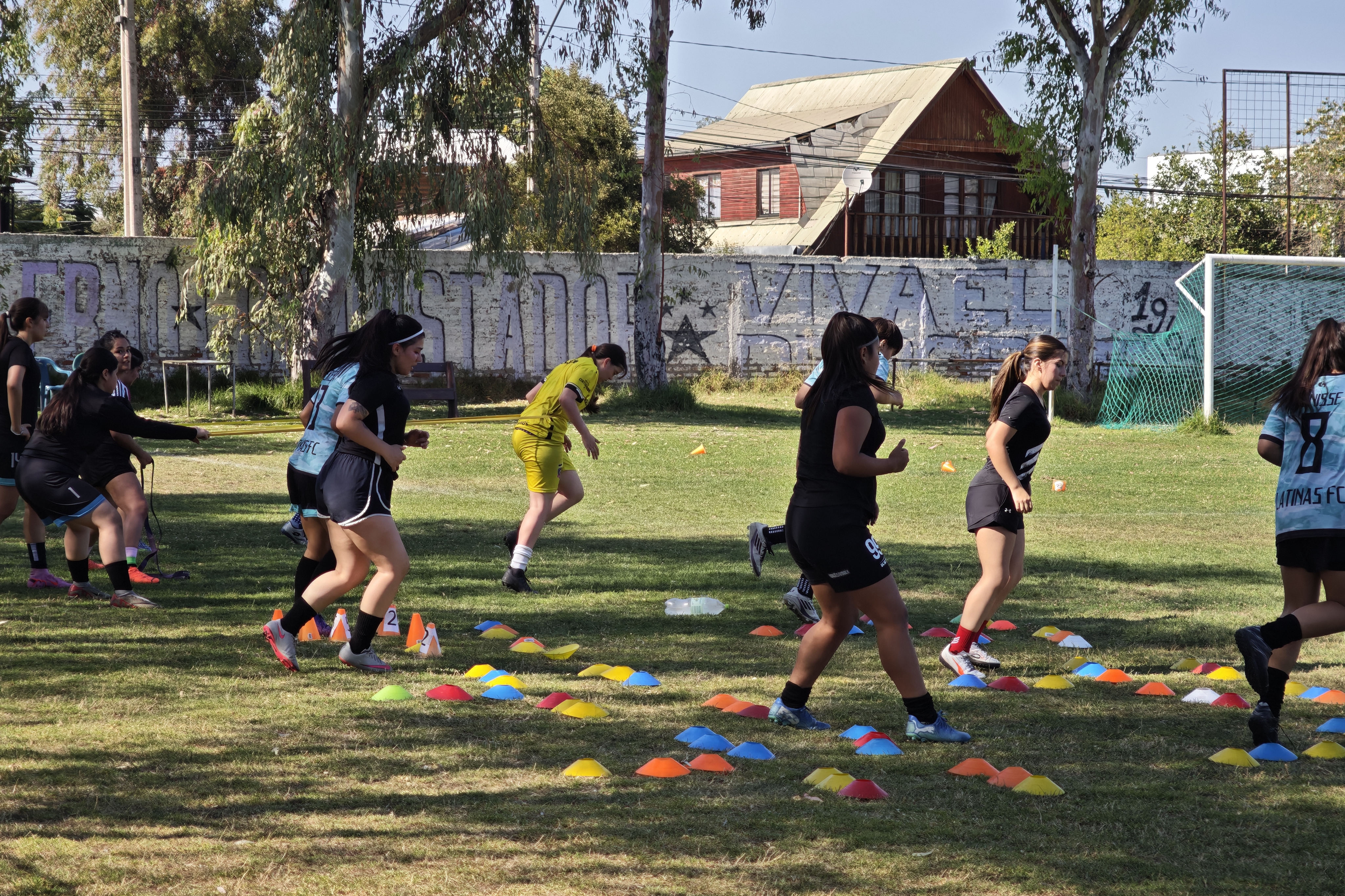 Entrenamientos